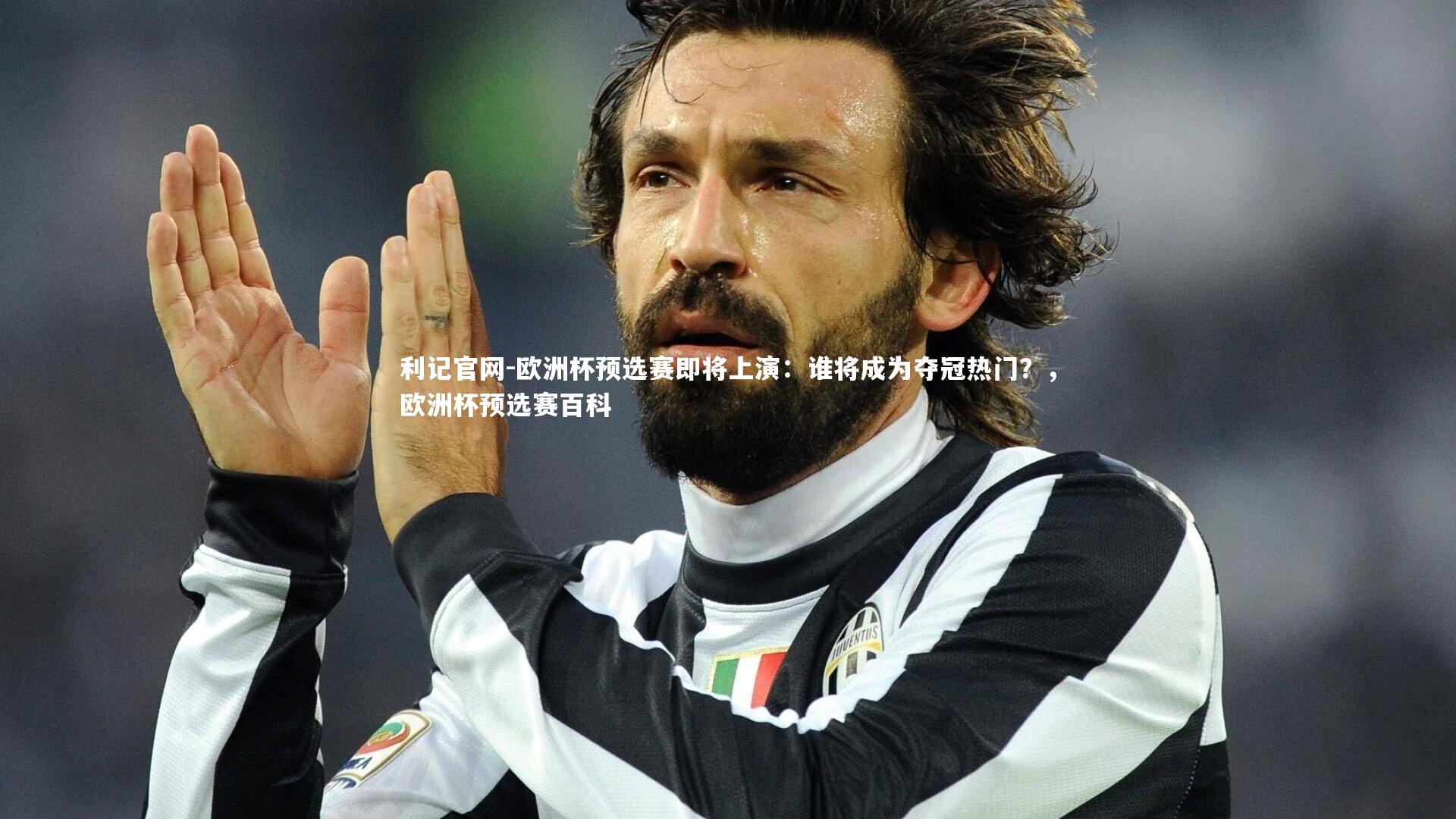 欧洲杯预选赛即将上演：谁将成为夺冠热门？，欧洲杯预选赛百科